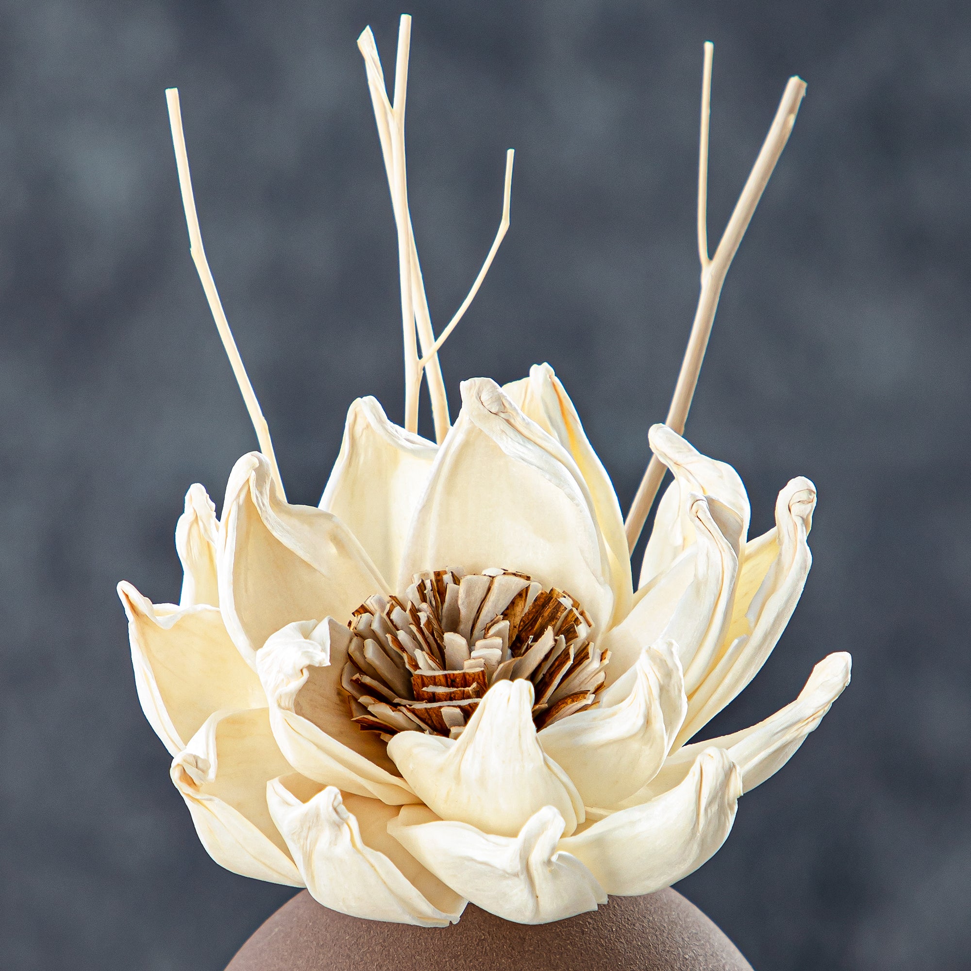 فواحة المرجان 50 مل بعطر اللافندر - KDTD752 SBR