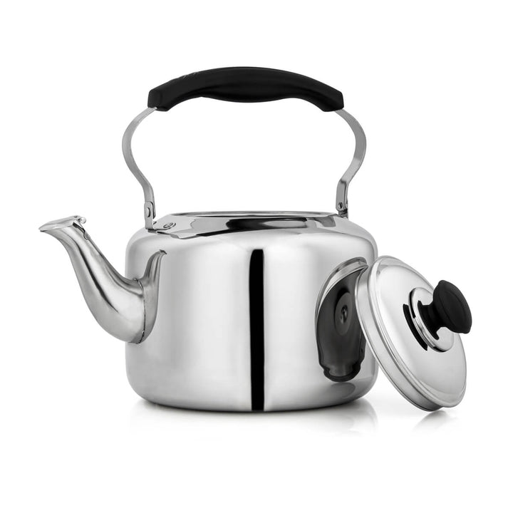 Shop Elegance Mohebbi 5 Liter Stainless Steel Whistling Kettle Silver at Almarjanstore.com - UAE